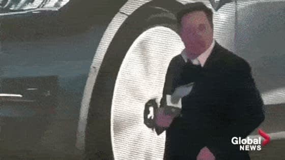 Elon dancing