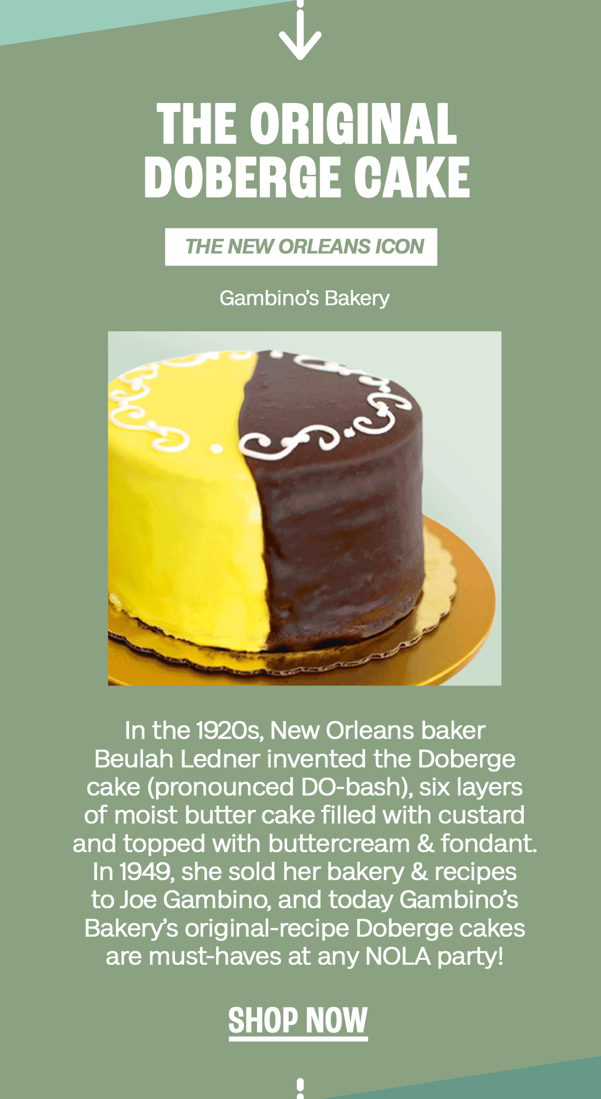 The Original Boston Cream Pie, New Orleans Doberge Cake, & More 🍰