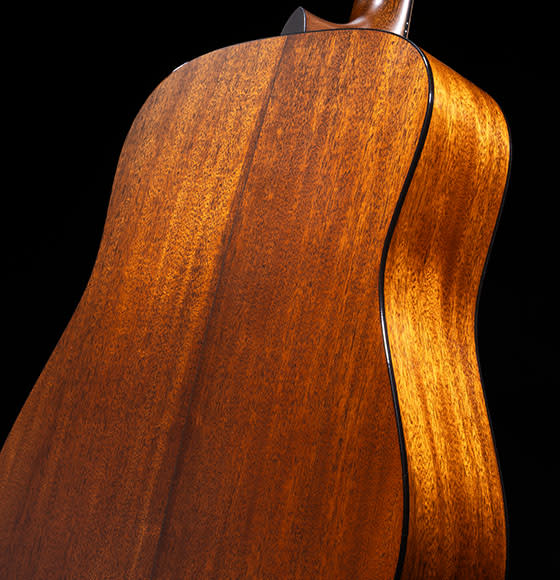 Guitar back