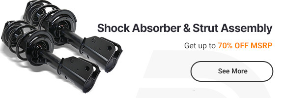 Shock Absorber and Strut Assembly