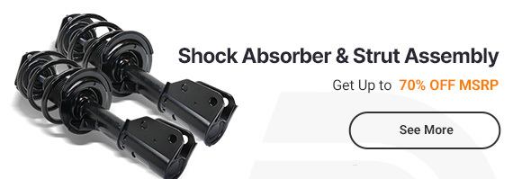 Shock Absorber and Strut Assembly