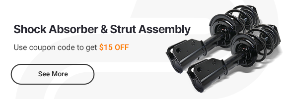 Shock Absorber and Strut Assembly