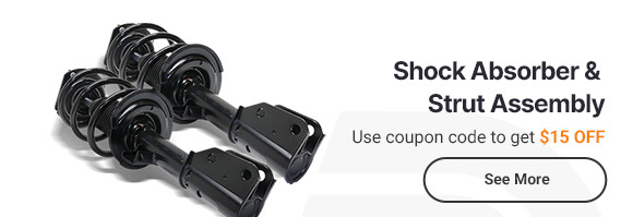 Shock Absorber and Strut Assembly
