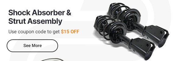 Shock Absorber and Strut Assembly