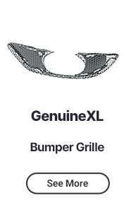 Bumper Grille