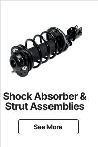 shock absorber and strut assembly
