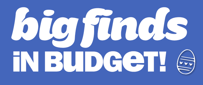 big finds in budget!