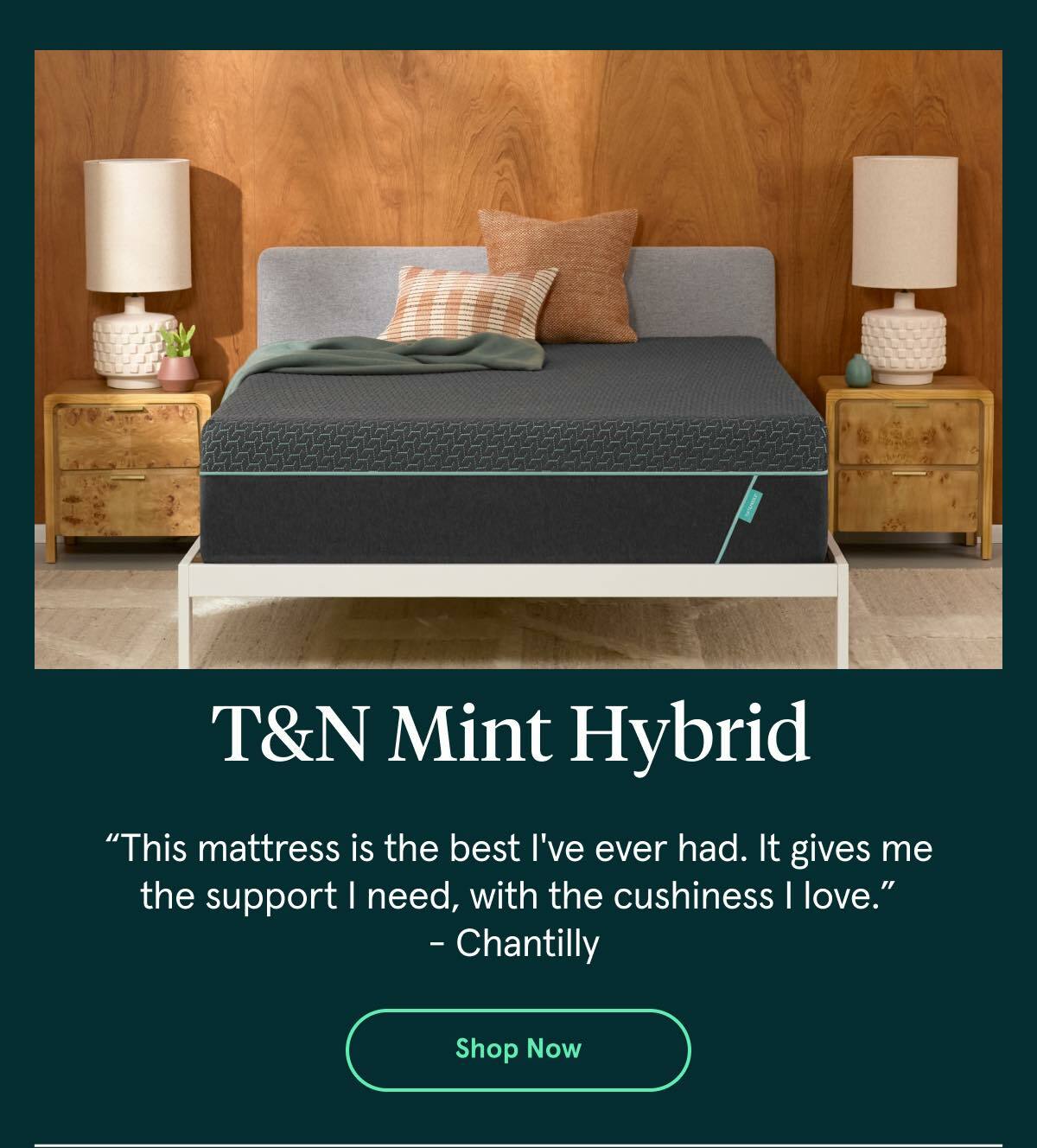 T&N Mint Hybrid | Shop Now