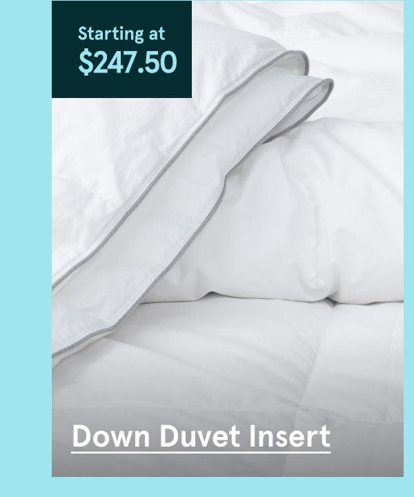 Down Duvet Insert