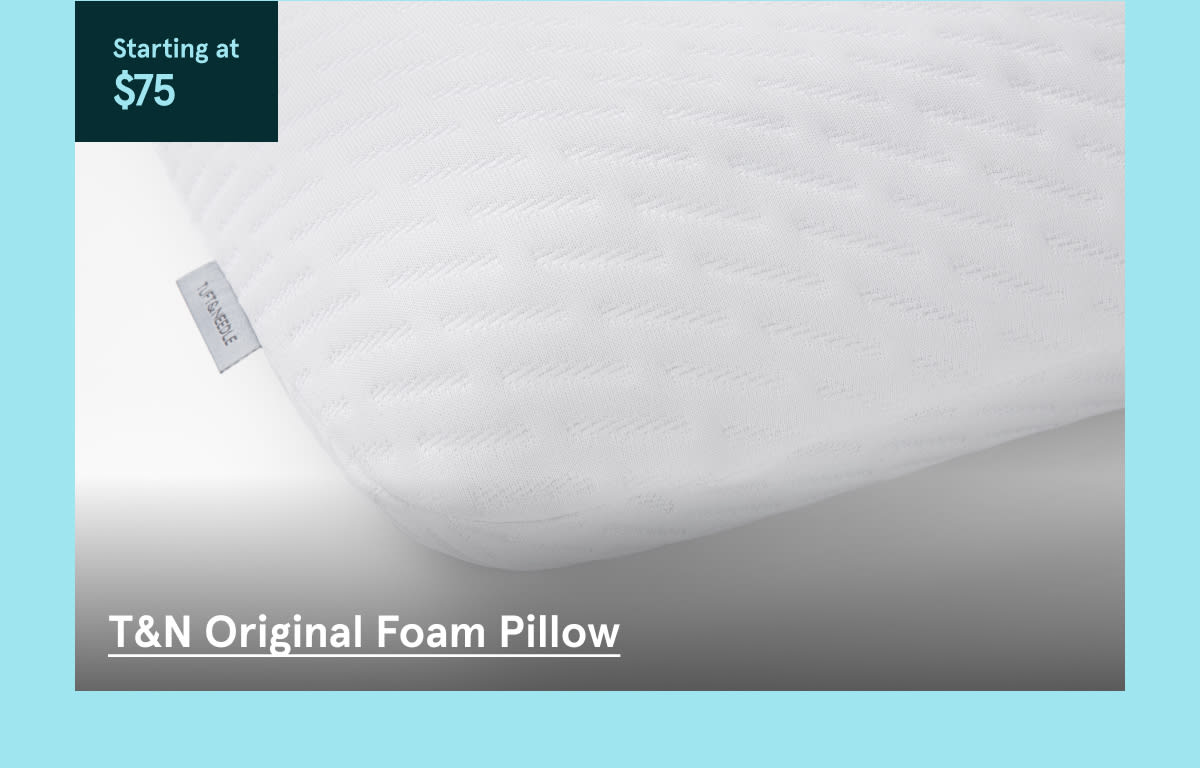 T&N Original Foam Pillow