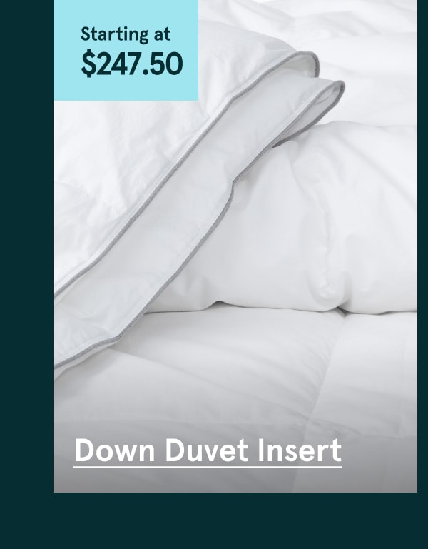 Down Duvet Insert