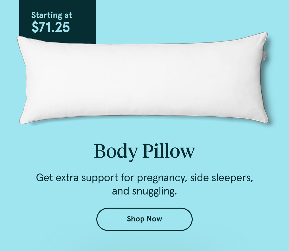 Body Pillow | Shop Now