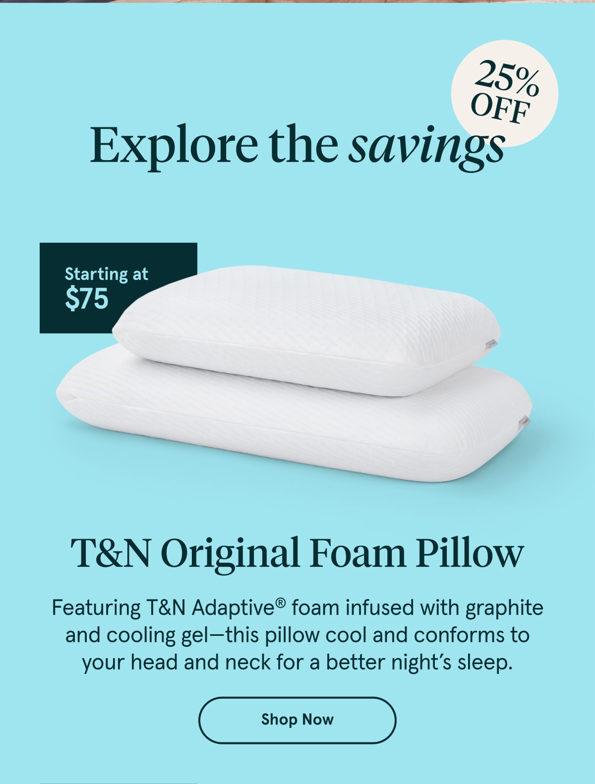T&N Original Foam Pillow | Shop Now