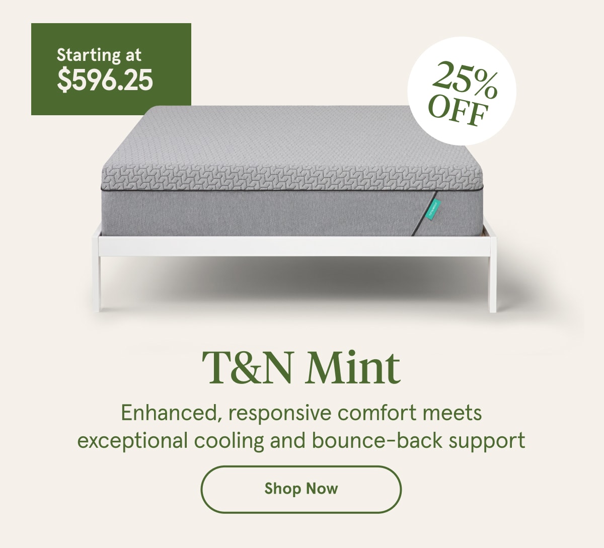 T&N Mint | Shop Now