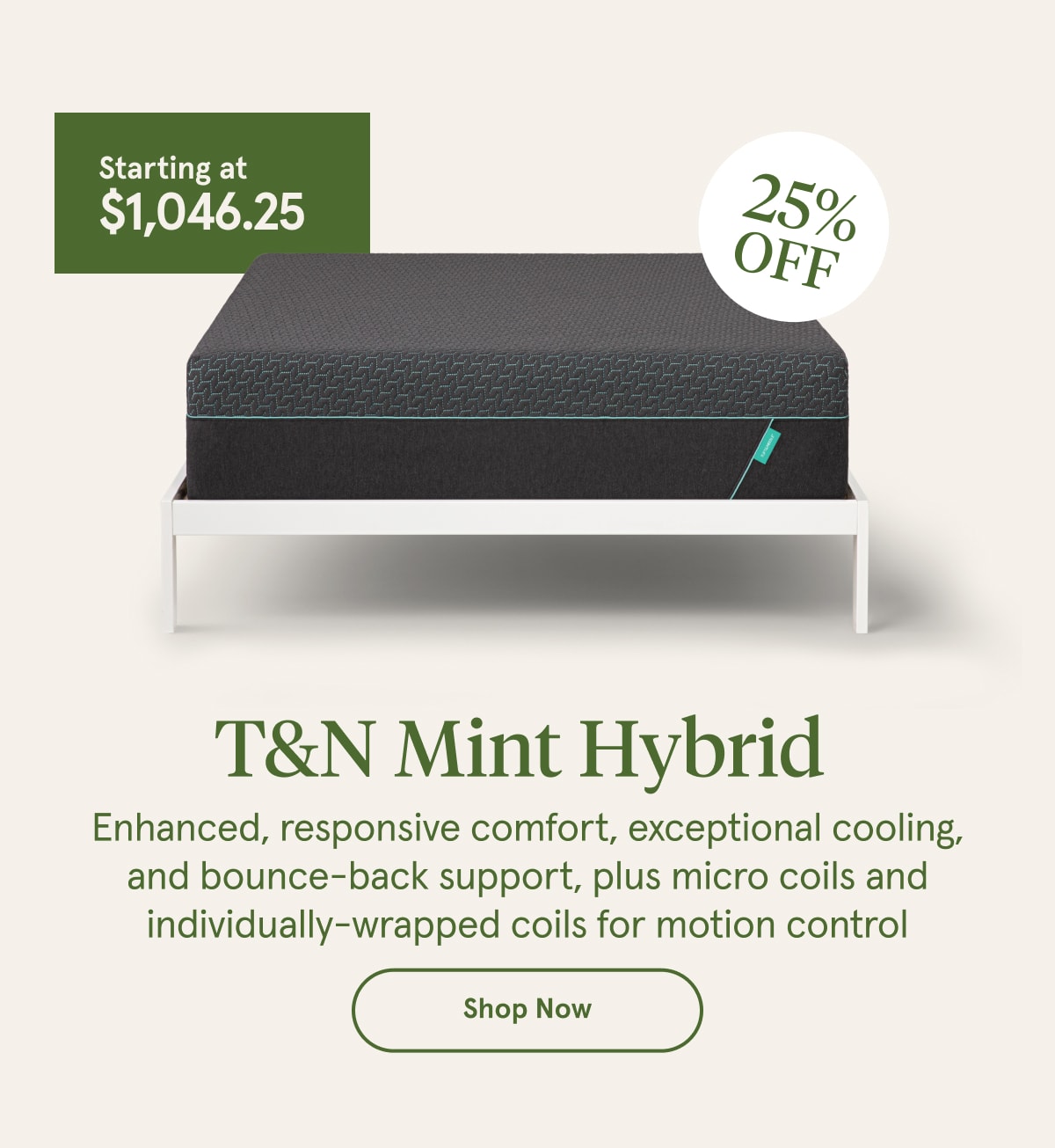 T&N Mint Hybrid | Shop Now