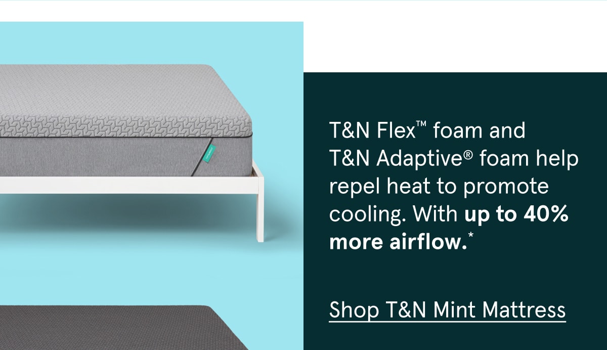 Shop T&N Mint Mattress