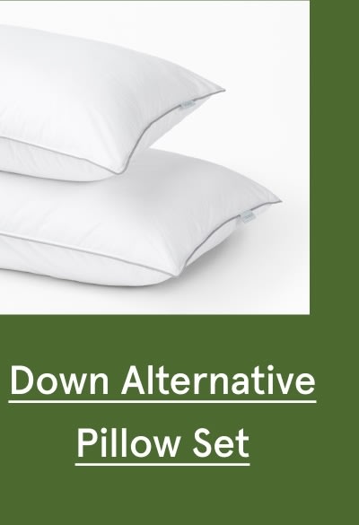 Down Alternative Pillow Set