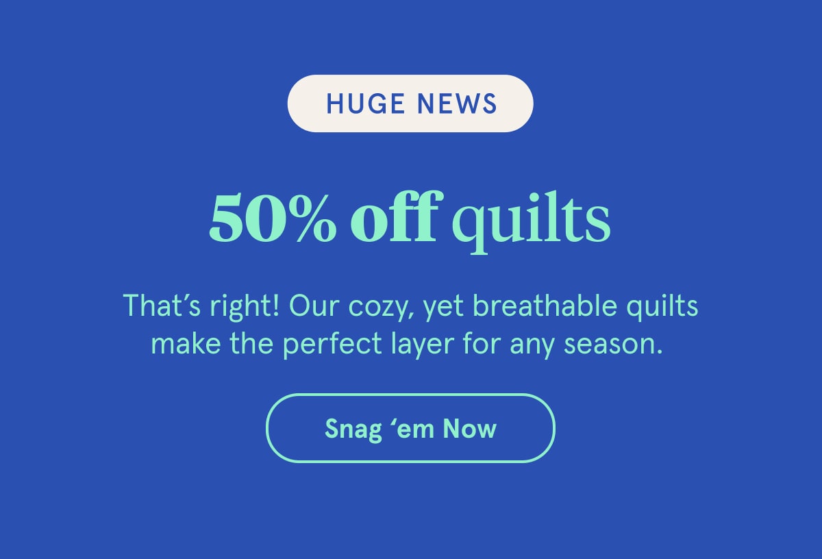 Huge News | 50% off Quilts | Snag em Now