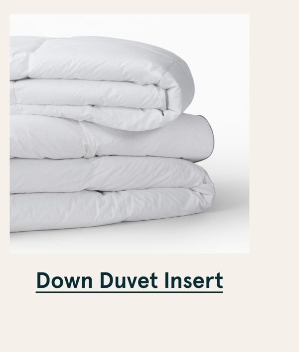 Down Duvet Insert