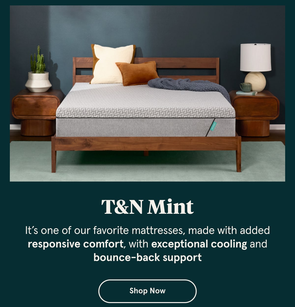 T&N Mint | Shop Now