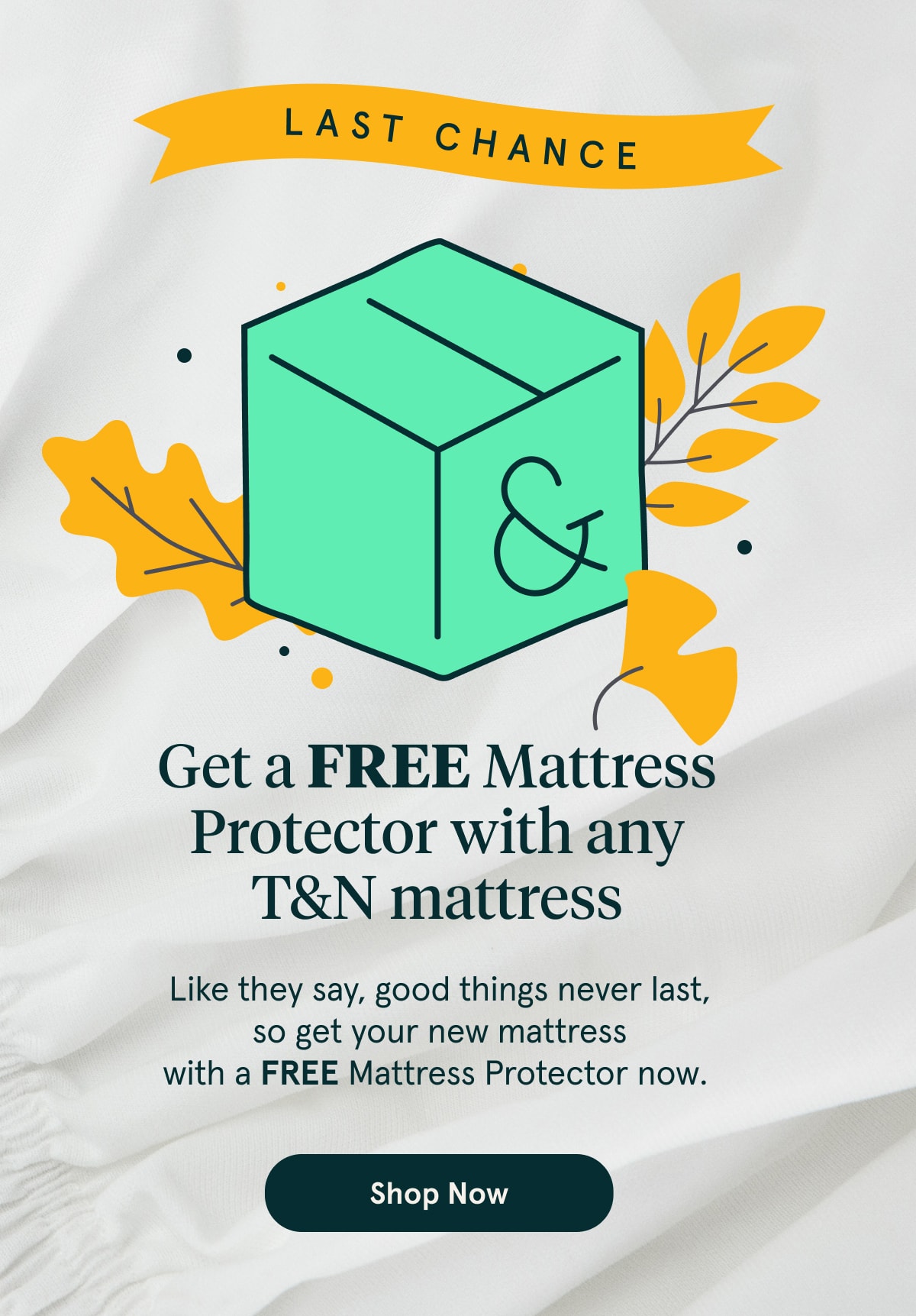 Last Chance | Get a FREE Mattress Protector with any T&N Mattress | Shop Now