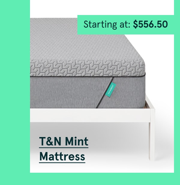 T&N Mint Mattress