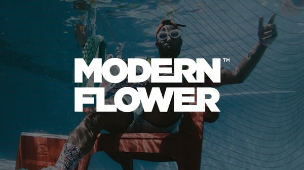Modern Flower