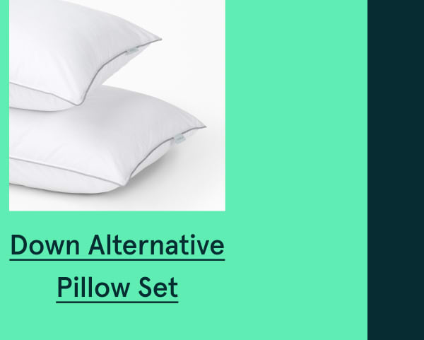 Down Alternative Pillow Set
