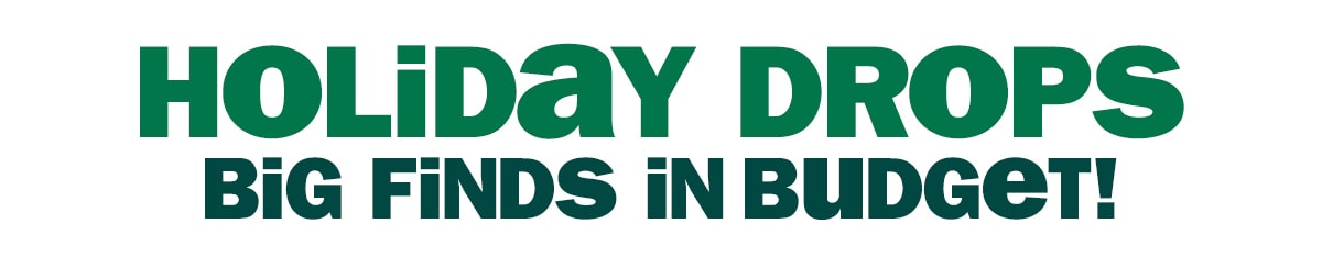 Holiday Drops - Big Finds in Budget!