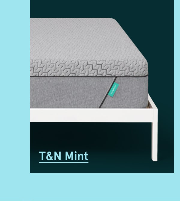 T&N Mint