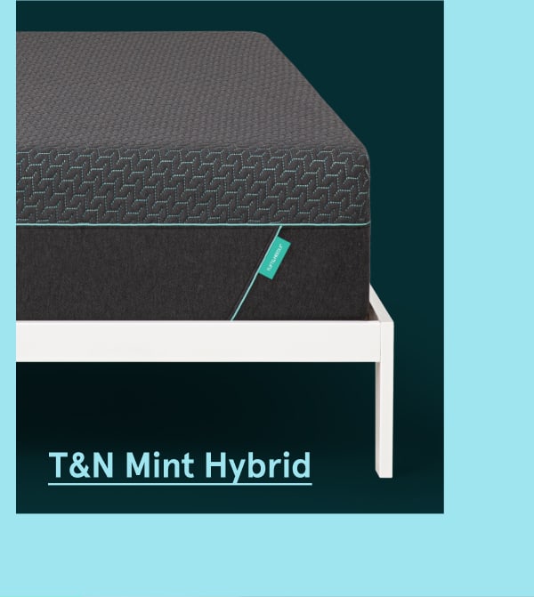 T&N Mint Hybrid