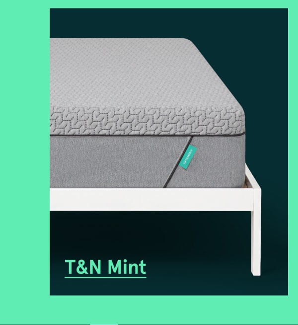 T&N Mint