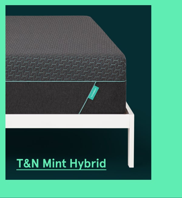 T&N Mint Hybrid