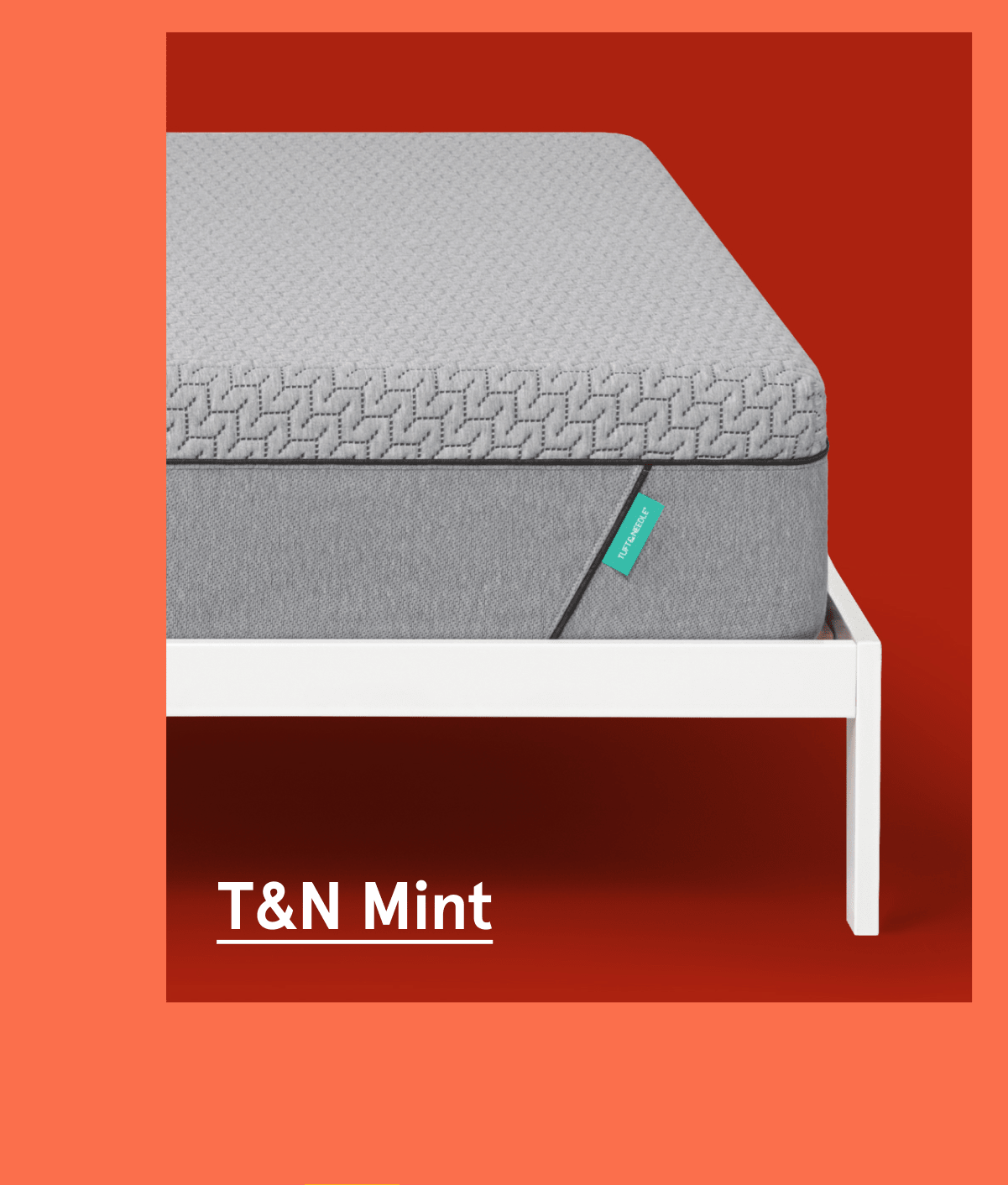 T&N Mint