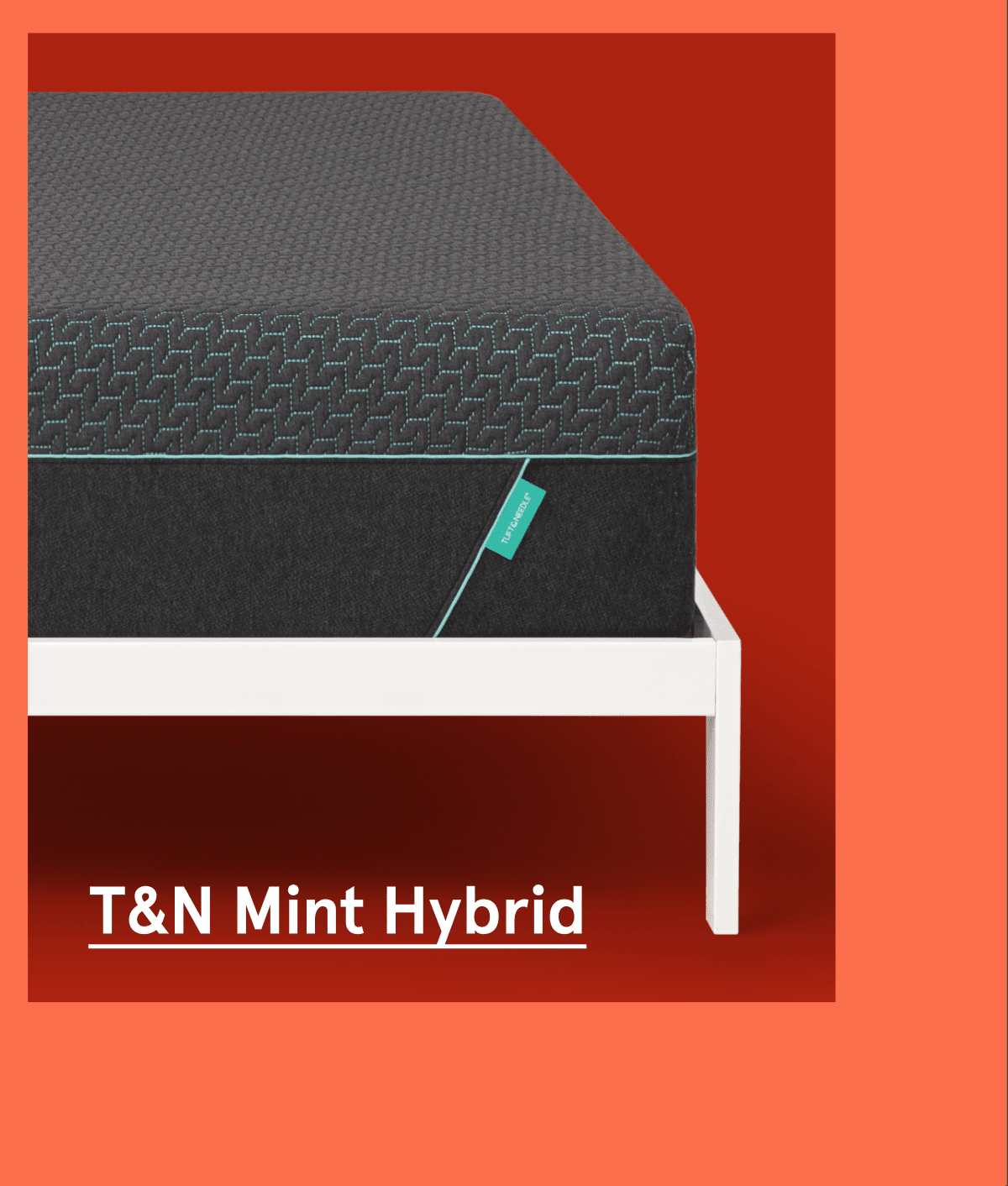 T&N Mint Hybrid