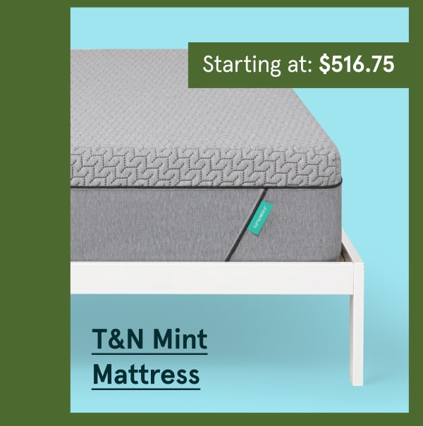 T&N Mint Mattress