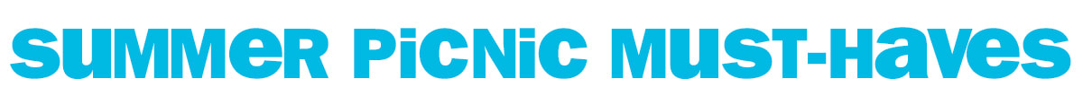 summer picnic must-haves
