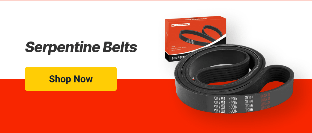 Serpentine Belts
