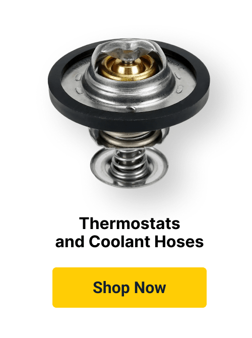 Thermostats and Coolant Hoses