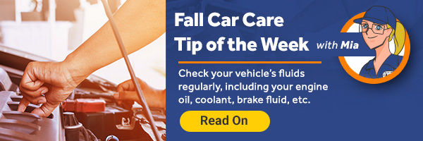 Fall Car Care Tip of the Week with Mia