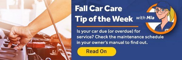 Fall Car Care Tip of the Week with Mia