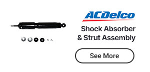 Shock Absorber and Strut Assembly
