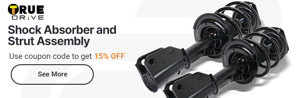 Shock Absorber And Strut Assembly