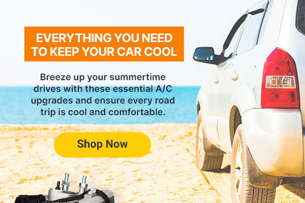 Everything you need to keep your car cool