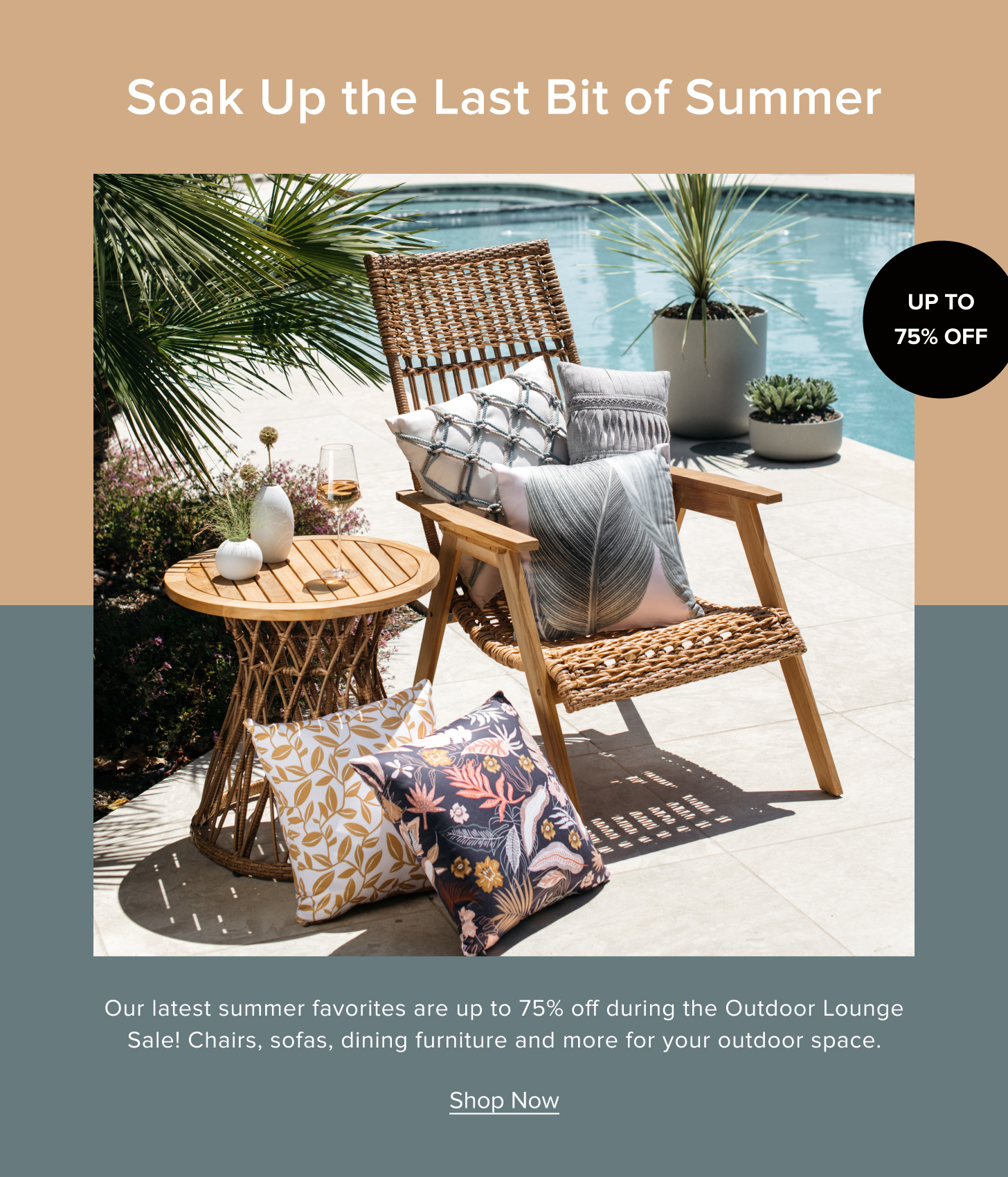 Houzz | Shop Now