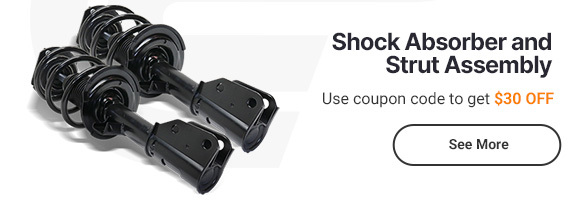Shock Absorber And Strut Assembly